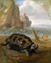 sea turtle